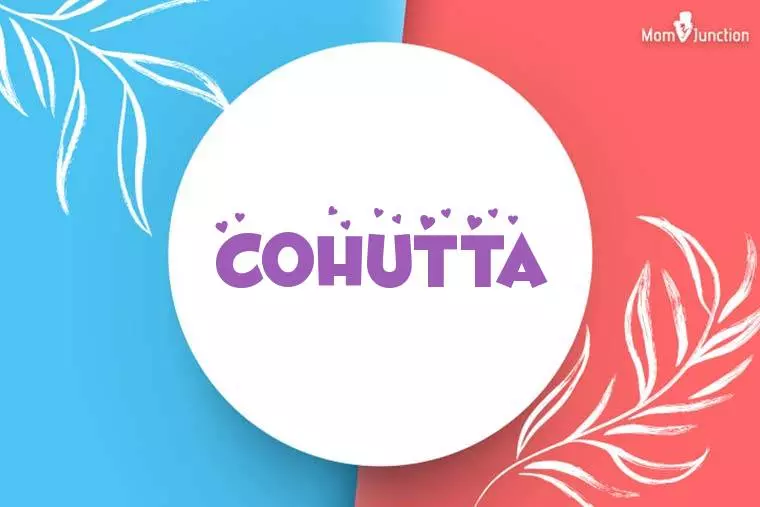 Cohutta Stylish Wallpaper