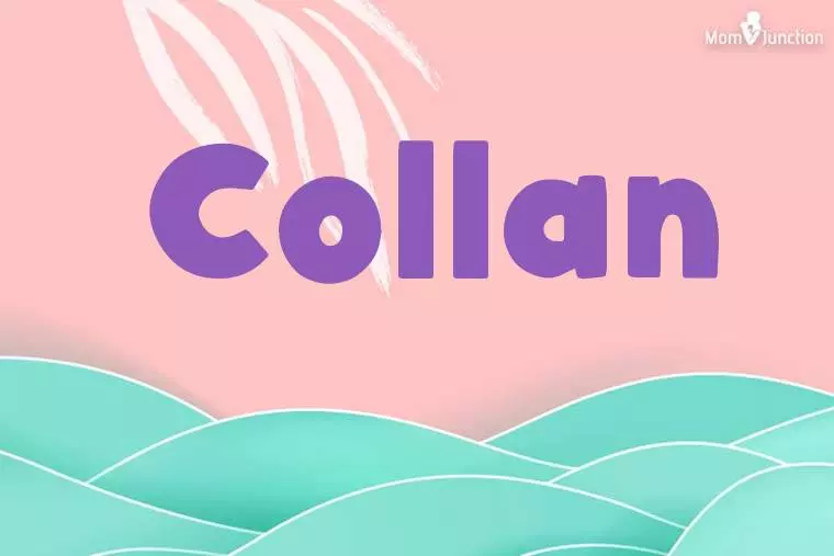 Collan Stylish Wallpaper