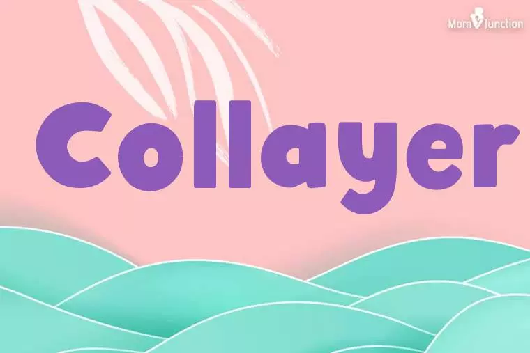 Collayer Stylish Wallpaper