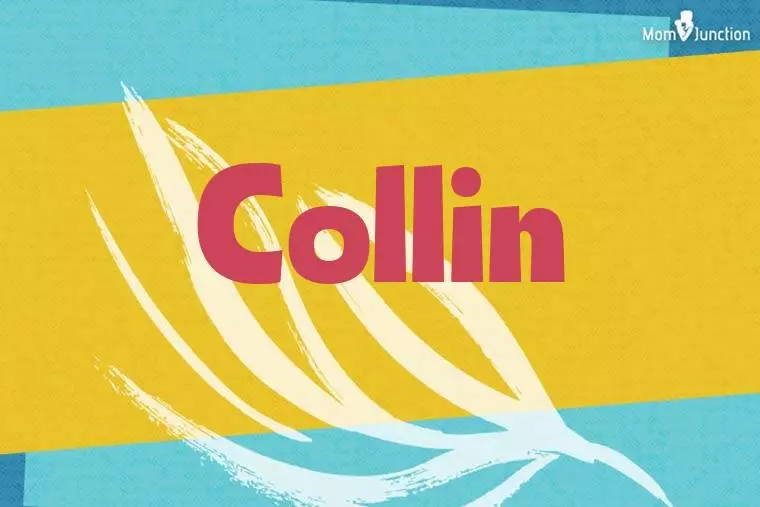 Collin Stylish Wallpaper