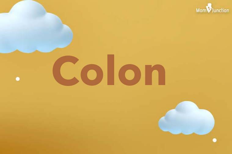 Colon 3D Wallpaper
