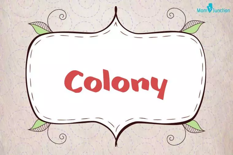 Colony Stylish Wallpaper