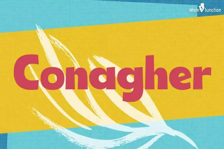 Conagher Stylish Wallpaper