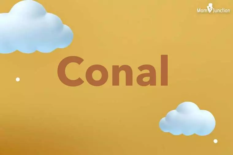 Conal 3D Wallpaper