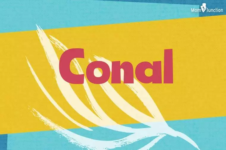 Conal Stylish Wallpaper