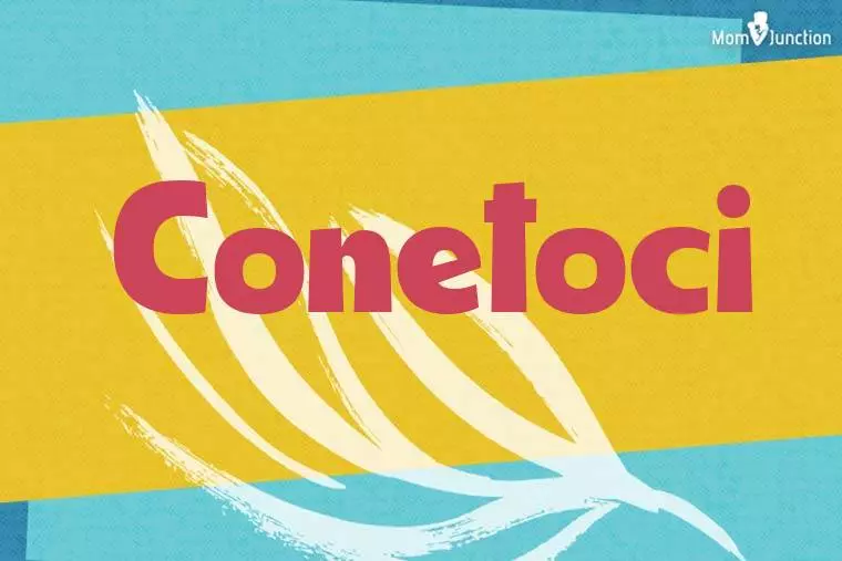 Conetoci Stylish Wallpaper