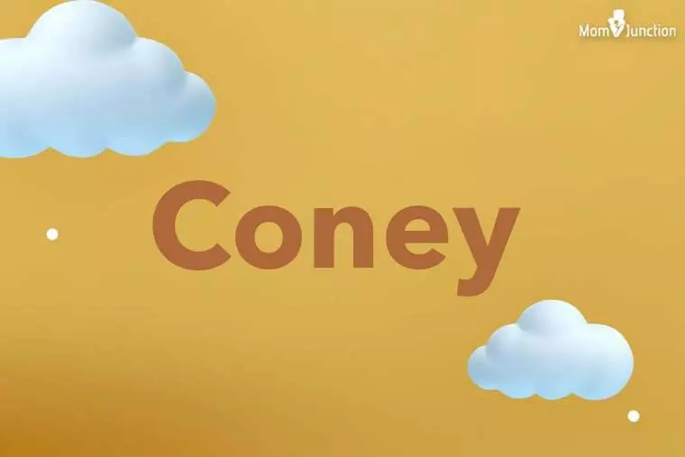 Coney 3D Wallpaper