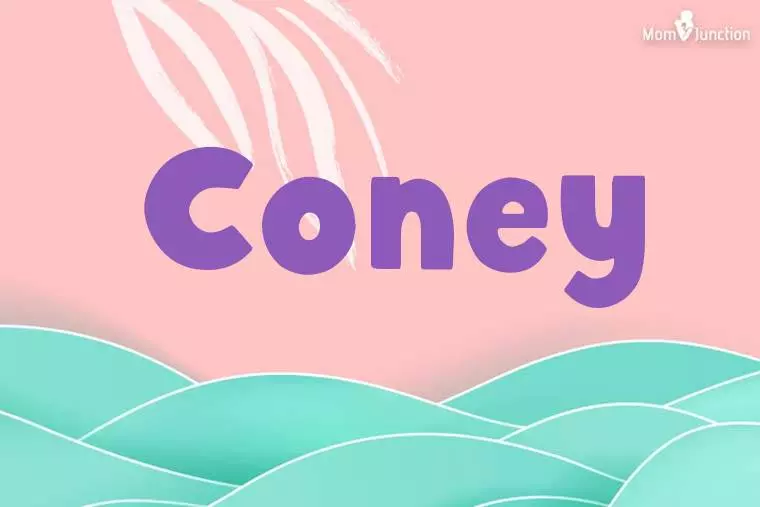 Coney Stylish Wallpaper