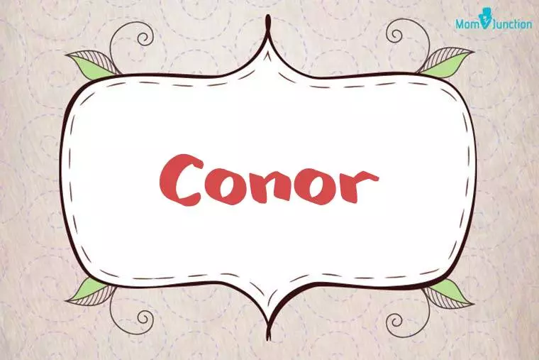 Conor Stylish Wallpaper