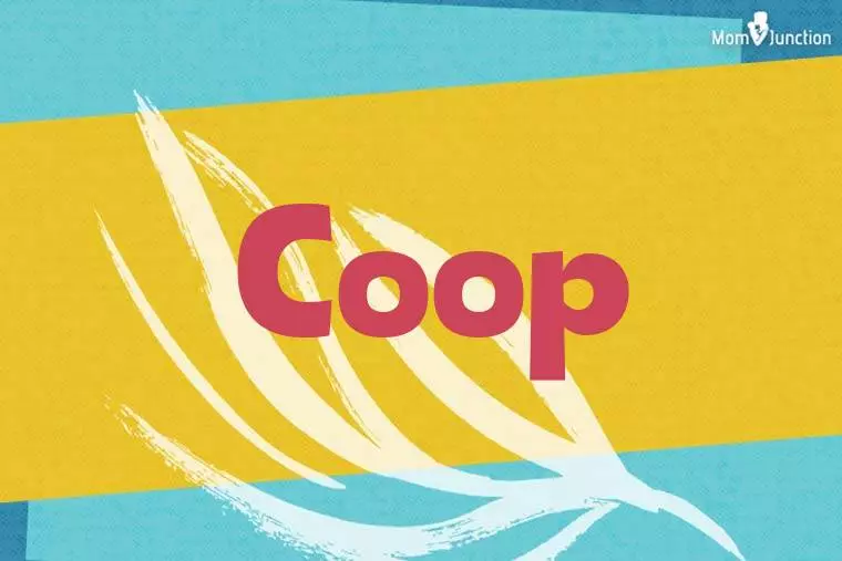 Coop Stylish Wallpaper