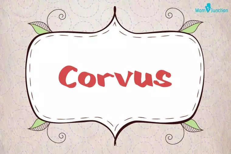 Corvus Stylish Wallpaper