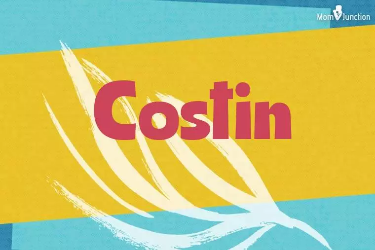 Costin Stylish Wallpaper