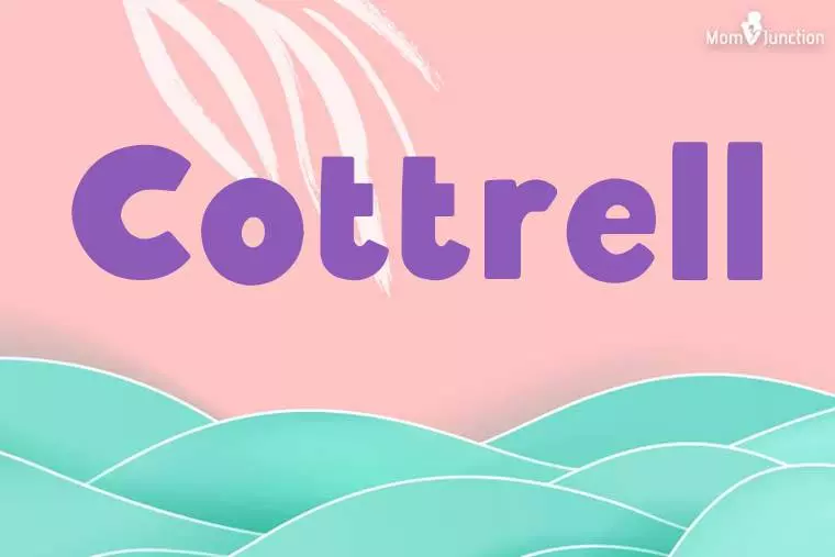 Cottrell Stylish Wallpaper