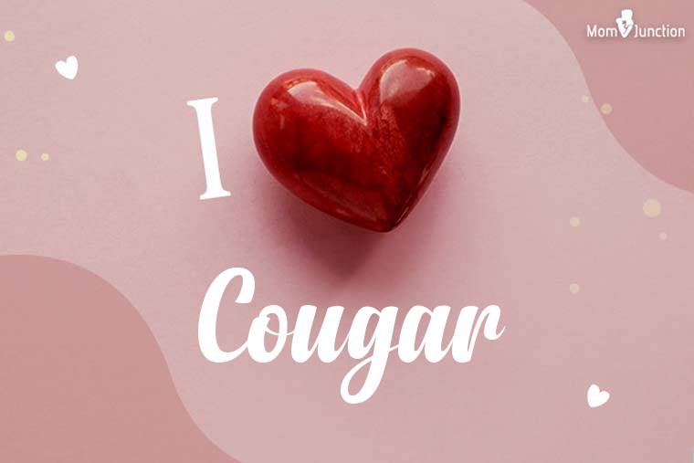 I Love Cougar Wallpaper