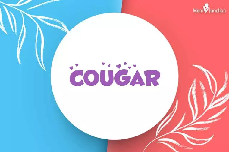 Cougar Stylish Wallpaper