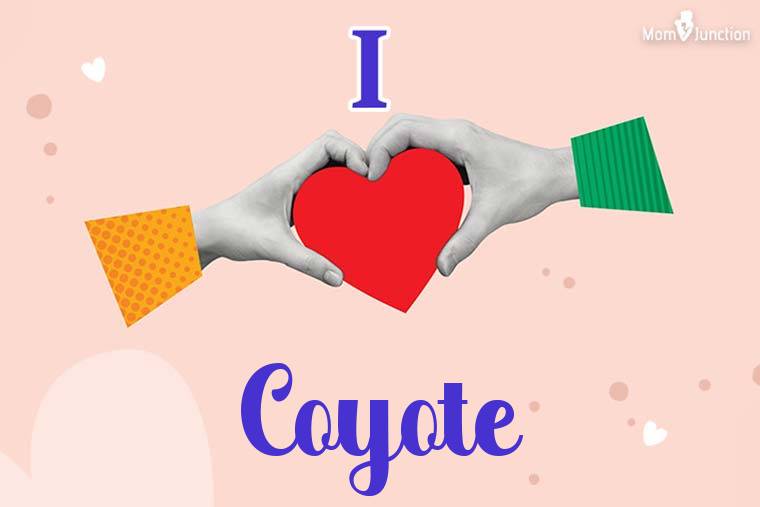 I Love Coyote Wallpaper