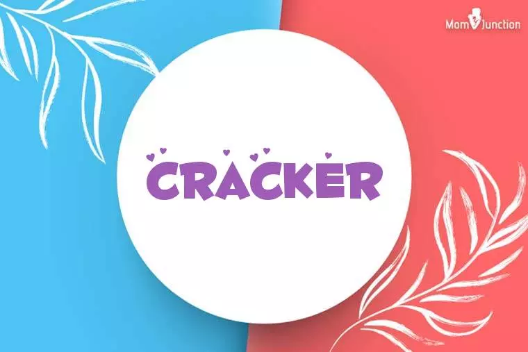 Cracker Stylish Wallpaper