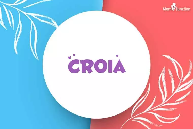 Croia Stylish Wallpaper