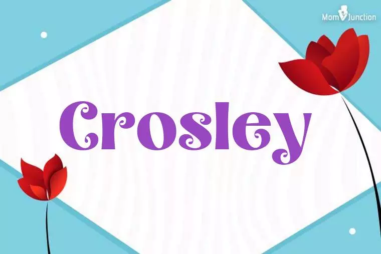 Crosley 3D Wallpaper