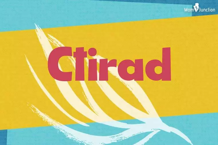 Ctirad Stylish Wallpaper