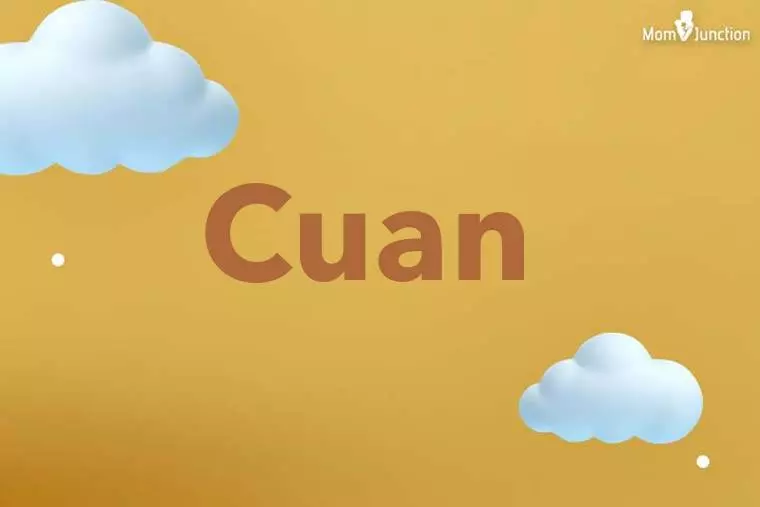 Cuan 3D Wallpaper