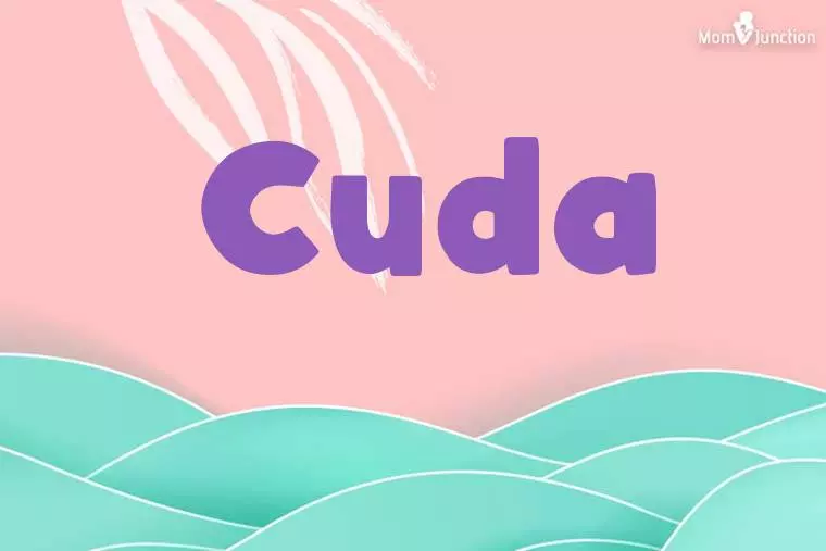 Cuda Stylish Wallpaper