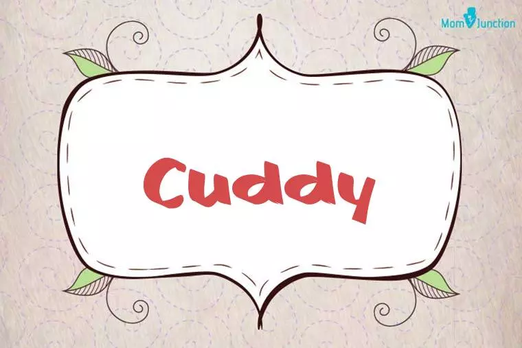 Cuddy Stylish Wallpaper