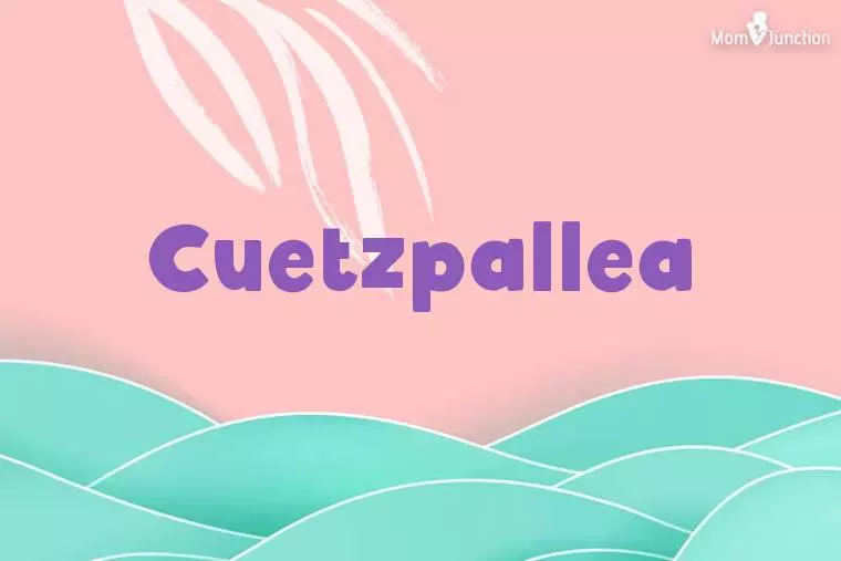 Cuetzpallea Stylish Wallpaper