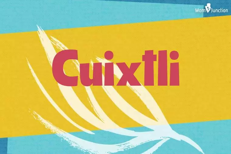 Cuixtli Stylish Wallpaper