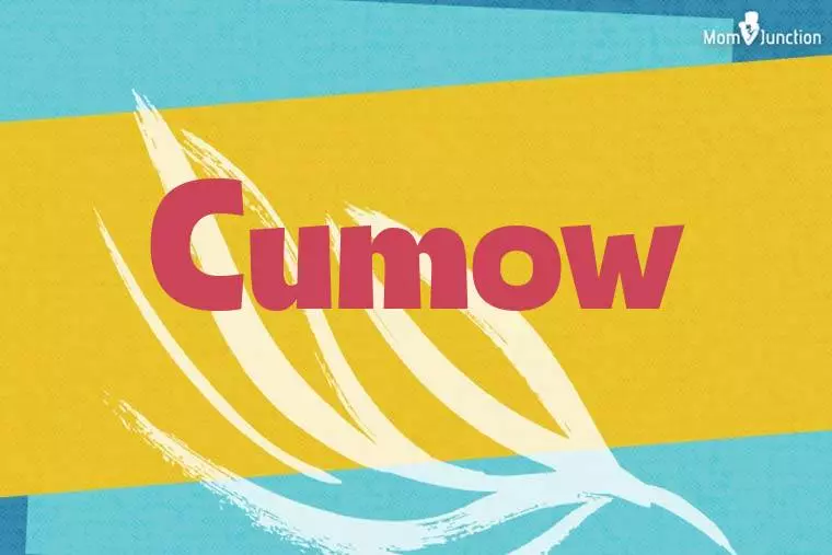 Cumow Stylish Wallpaper