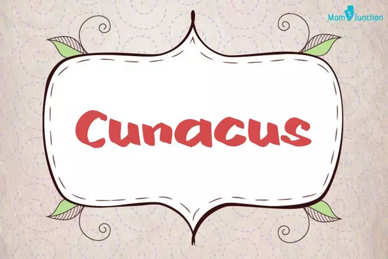 Cunacus Stylish Wallpaper