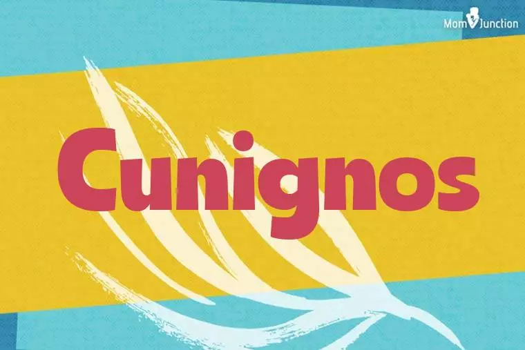 Cunignos Stylish Wallpaper