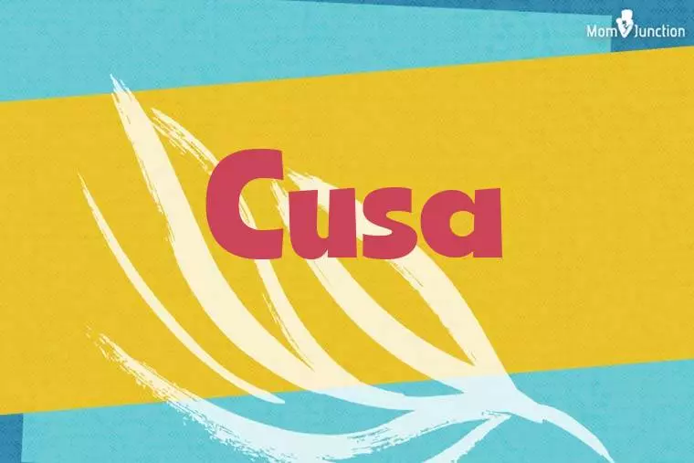 Cusa Stylish Wallpaper