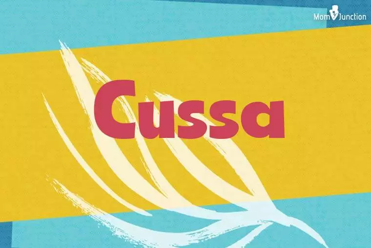 Cussa Stylish Wallpaper