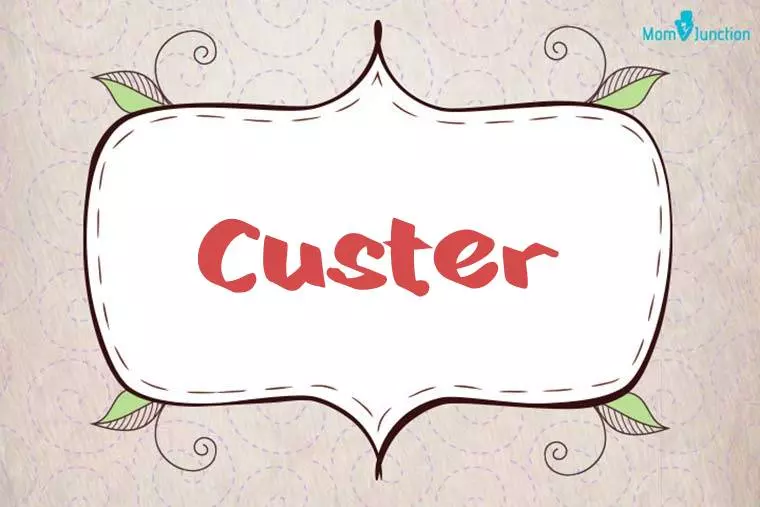 Custer Stylish Wallpaper