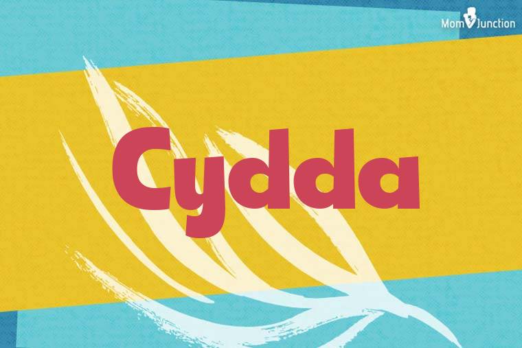 Cydda Stylish Wallpaper