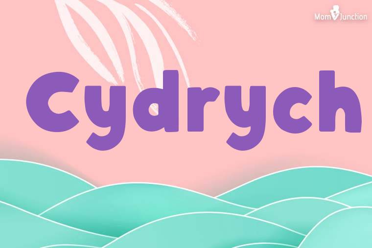 Cydrych Stylish Wallpaper