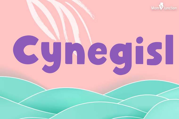 Cynegisl Stylish Wallpaper