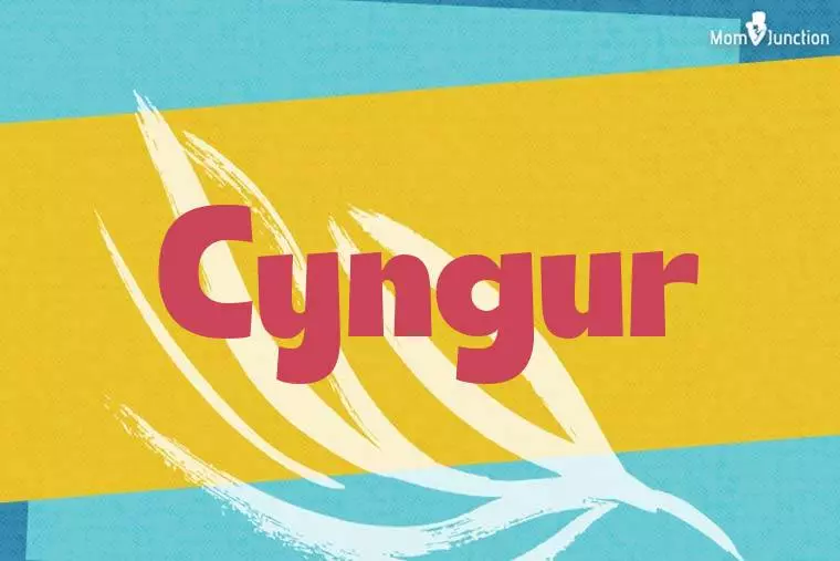 Cyngur Stylish Wallpaper