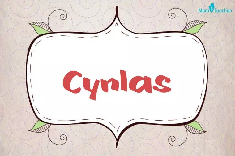 Cynlas Stylish Wallpaper