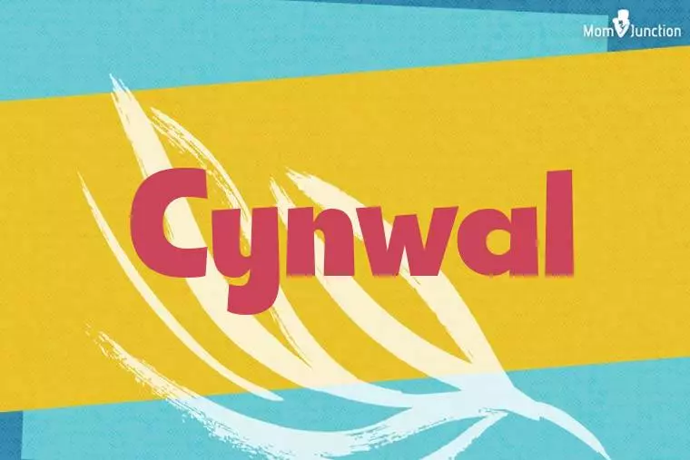 Cynwal Stylish Wallpaper