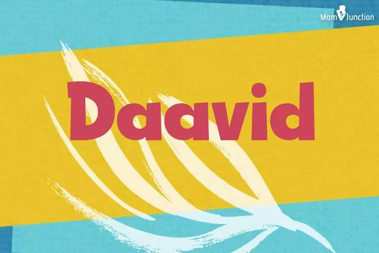 Daavid Stylish Wallpaper