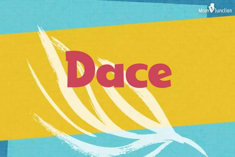 Dace Stylish Wallpaper