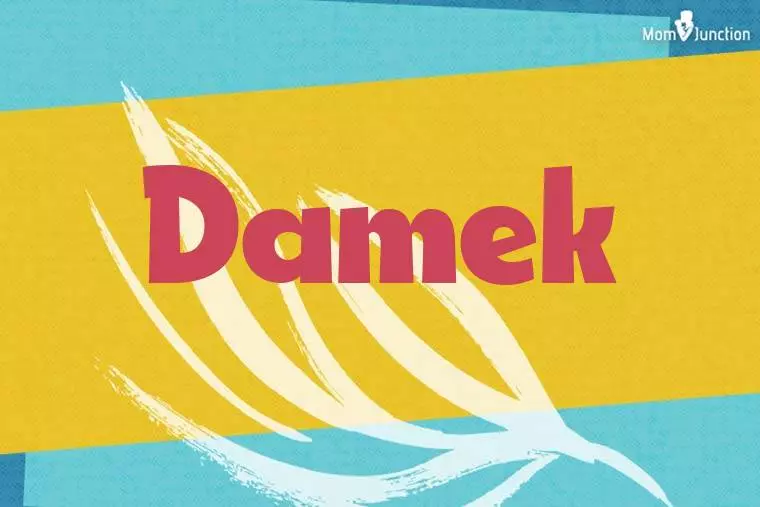 Damek Stylish Wallpaper