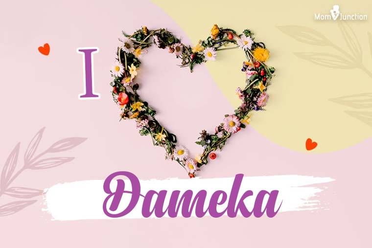 I Love Dameka Wallpaper