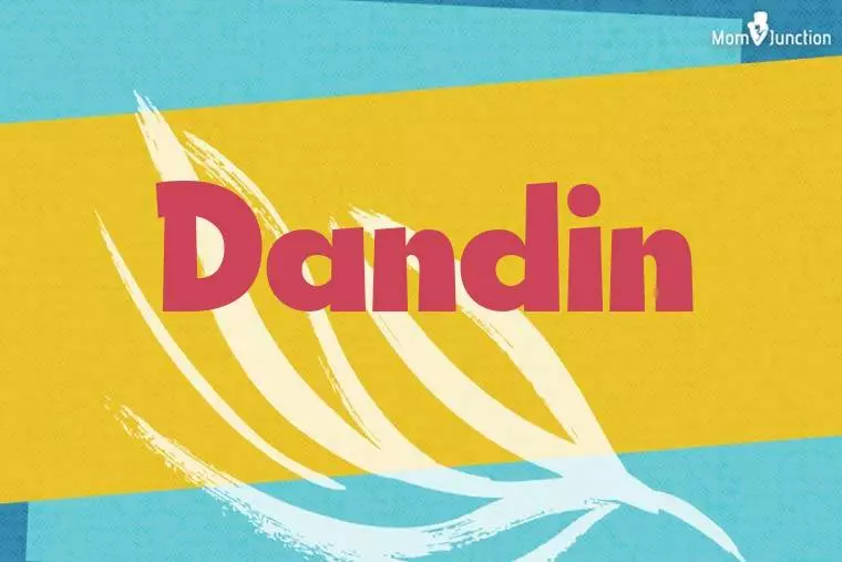 Dandin Stylish Wallpaper