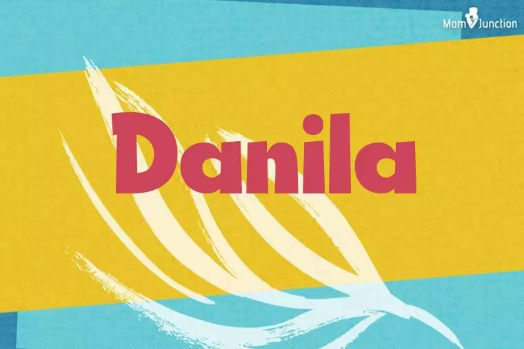 Danila Stylish Wallpaper