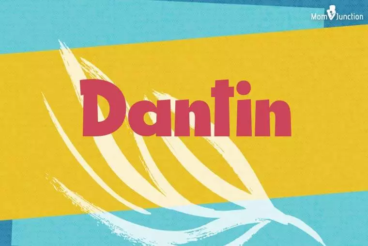 Dantin Stylish Wallpaper