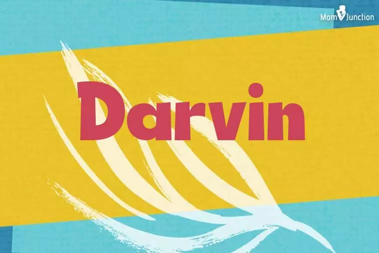 Darvin Stylish Wallpaper