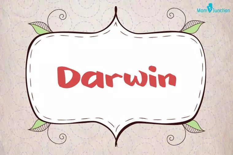 Darwin Stylish Wallpaper